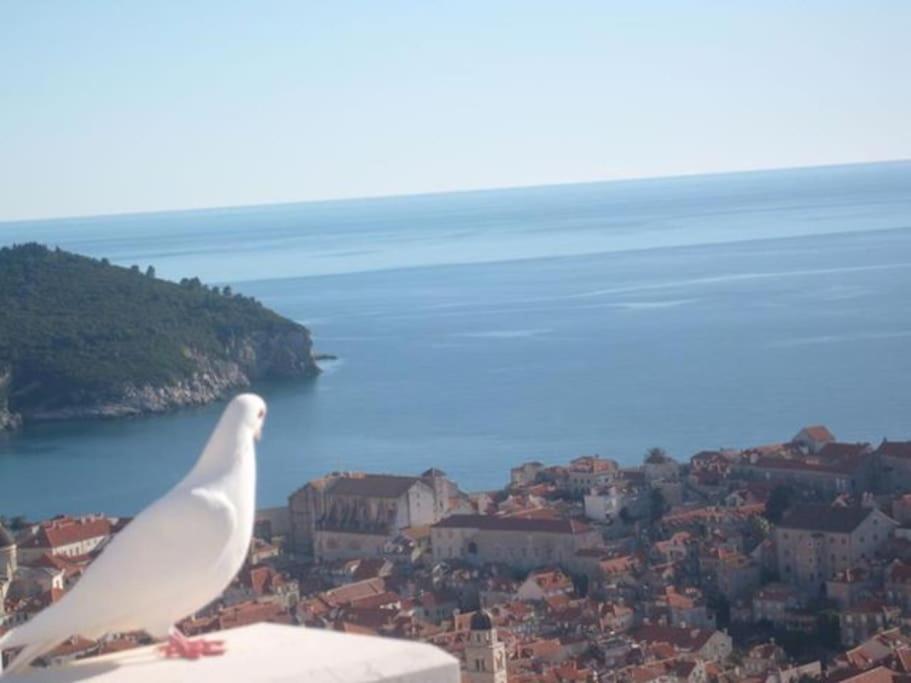 Romantic Ap,With Amazing View Dubrovnik Exterior photo
